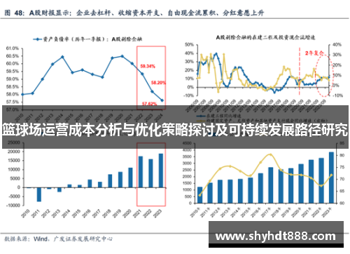 篮球场运营成本分析与优化策略探讨及可持续发展路径研究